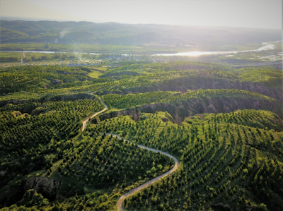 榆林市榆阳区:守护绿水青山 绘就幸福底色