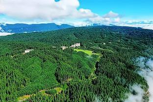 咬定青山不放“松”!这场“森林保卫战”浙江打了30年