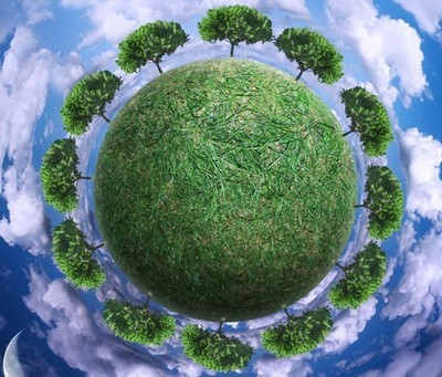 托普农业物联网技术在林业领域的研究_仪器仪表公司动态_阿仪网