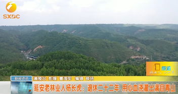 延安老林业人杨长虎 退休二十二年,用心血浇灌出满目青山