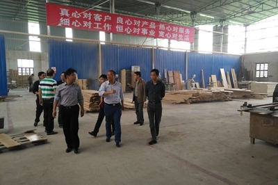唐卫湘督查林业安全生产工作