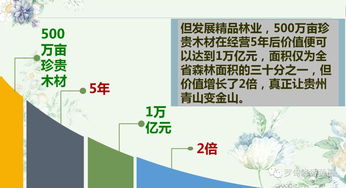 汇生林业创新打造全国精品林业产业扶贫模式