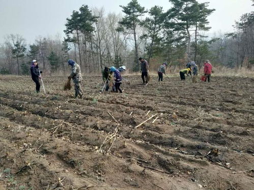国家林业局林业工作站管理总站