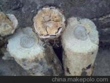 【大量供应朽木棒 (图)】价格,厂家,图片,林业产品,洋县新成魔芋菌业科技-