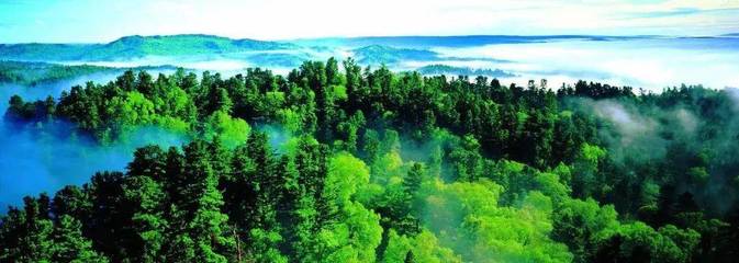 山河林海,万里雪原,黑龙江美景暴击
