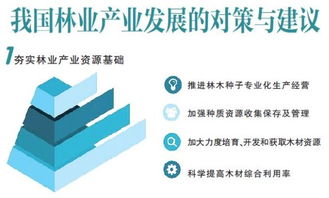 我国林业产业竞争力怎样 潜力在哪