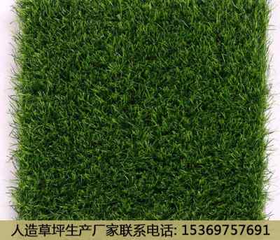 新闻 罗平人工草坪生产厂家