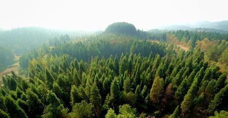 西宁创绿色奇迹,从7.2%森林覆盖率增到79%,荒山秃岭到青山如黛