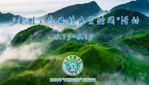 贵州生态日林业宣传周 活动