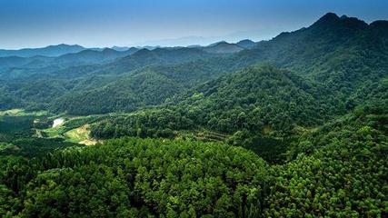 江西:疫情防控建设项目需使用林地 可依法先行使用