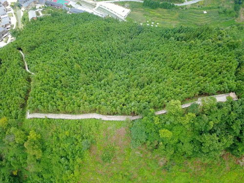 我家住在3a级景区