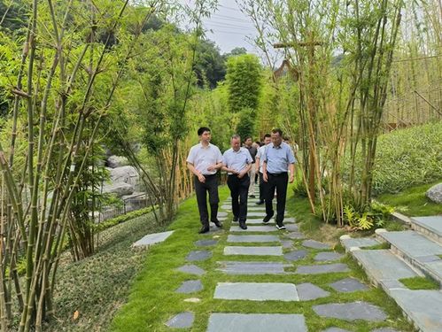 国家林业和草原局研究中心到我市调研林业改革发展综合试点工作