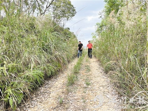 本地推荐 江门新闻网.江门综合门户网站