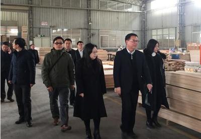 合肥研究院技术生物所与福建漳平市德诺林业公司签署合作协议