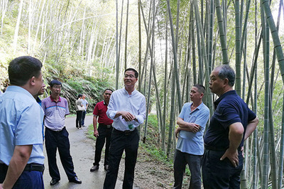 王克代表一行赴和平县开展竹林业和竹产业专题调研