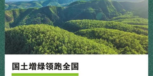 一图读懂我省林业 十三五 成就