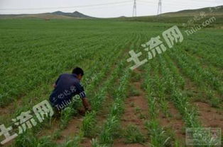 内蒙古农林业用地流转价格信息 交易平台 内蒙古土流网