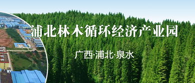 浦北林业循环经济产业园 广西频道 网上的人民日报