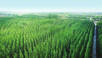 数十架F35被毁,军事基地被袭,美军惹不起真正凶手只能认怂