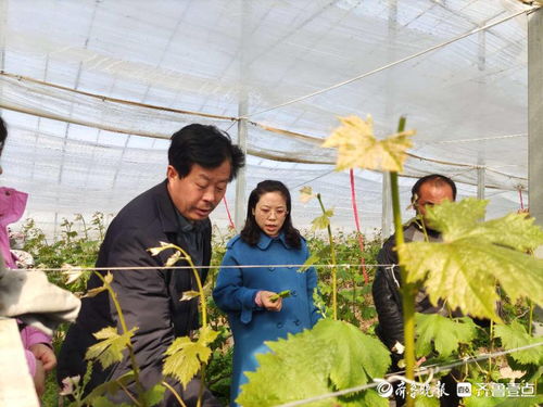 抓好春季生产,聊城市自然资源和规划局经开区分局送技术下乡