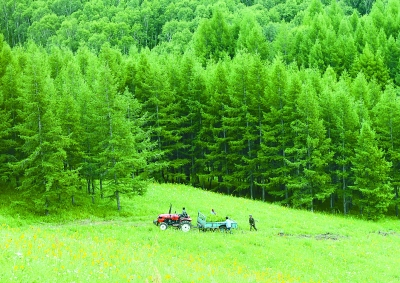 共享荒漠化防治经验,构建生态安全共同体